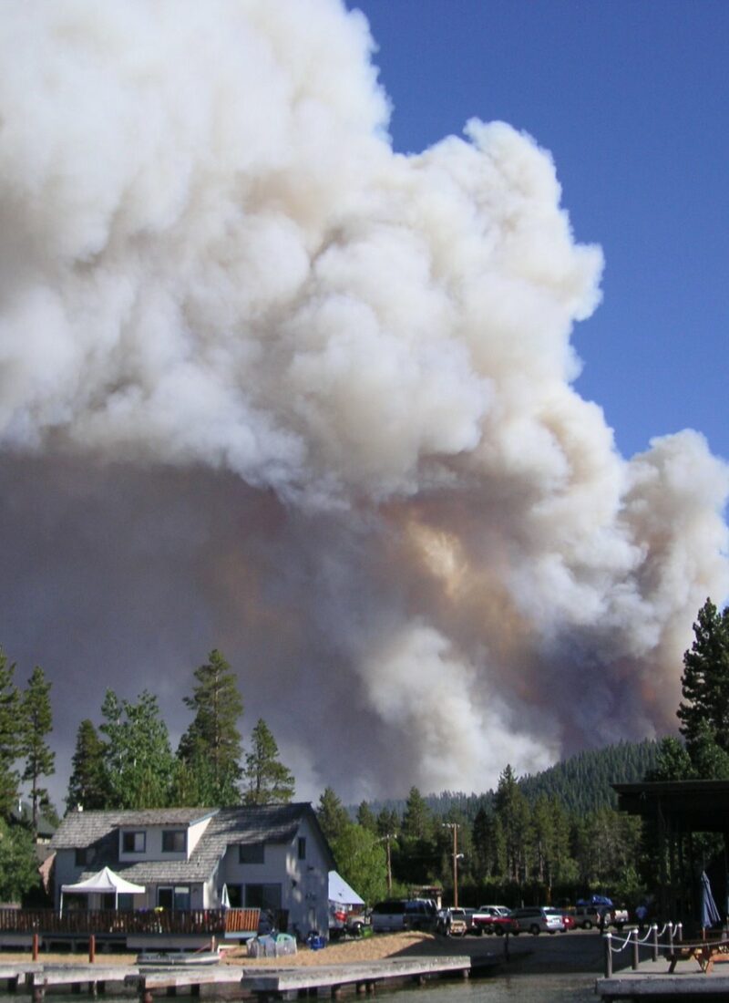 Angora Fire