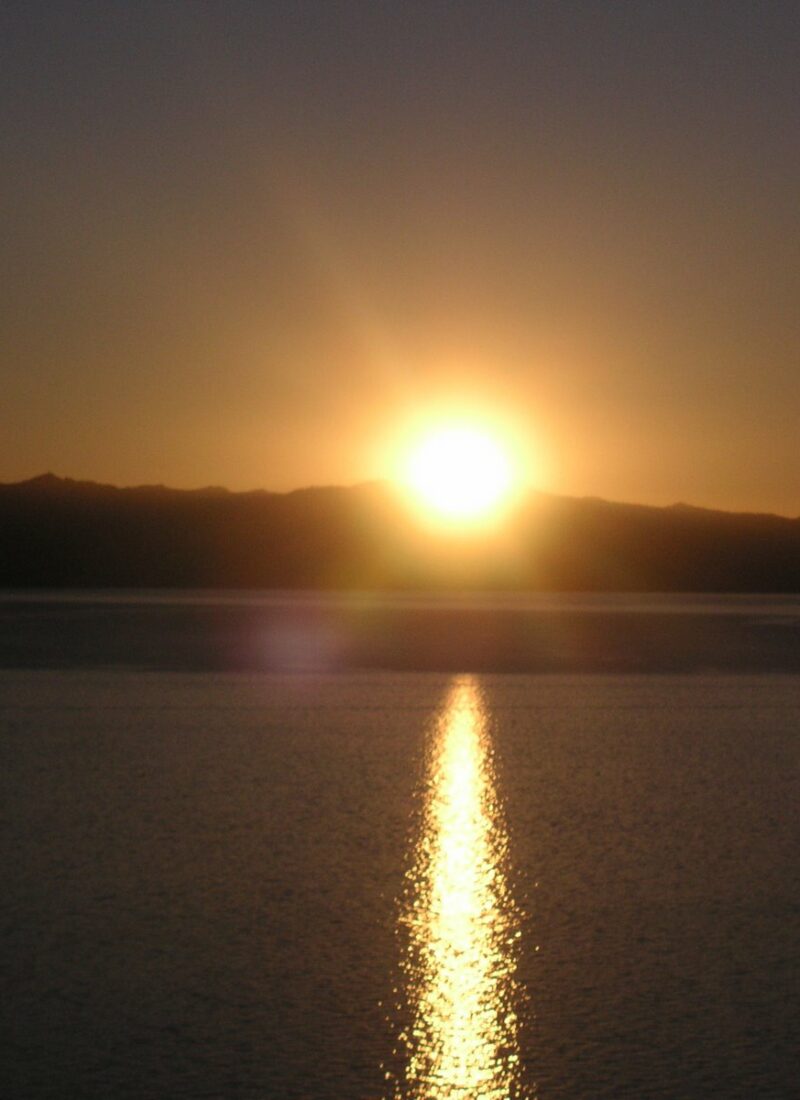 Summer Days of Tahoe…